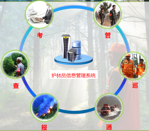 護林員管理系統.png